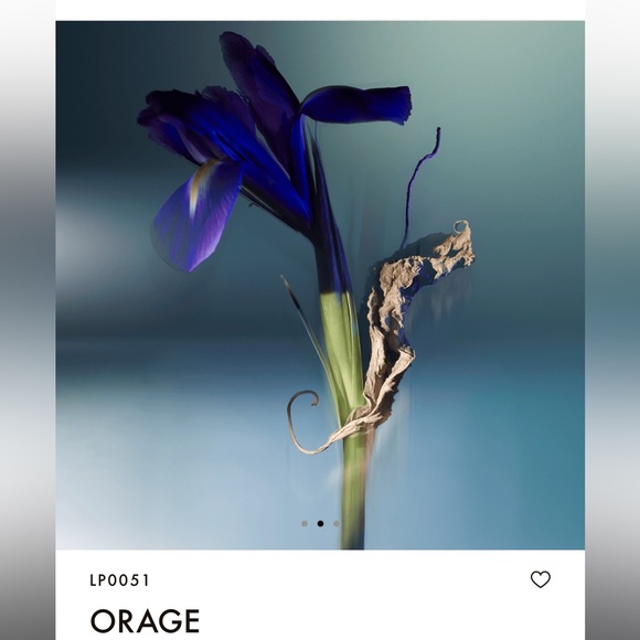 LOUIS VUITTON “Orage” - Picture 6 of 8